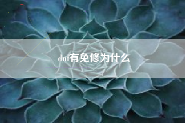 dnf有免修为什么