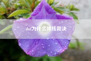 dnf为什么掉线裁决