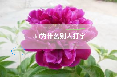 dnf为什么别人打字