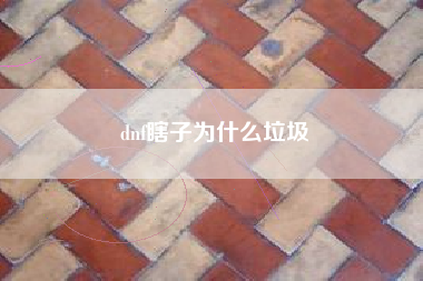 dnf瞎子为什么垃圾