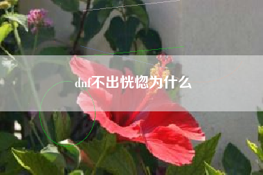 dnf不出恍惚为什么