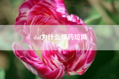 dnf为什么弹药垃圾