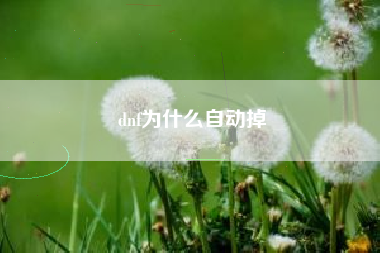 dnf为什么自动掉