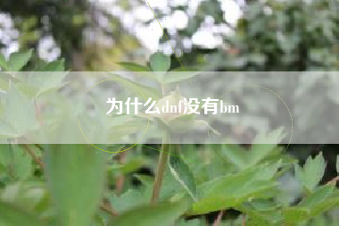 为什么dnf没有bm