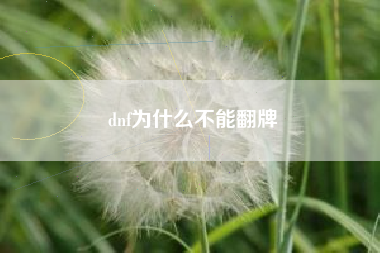 dnf为什么不能翻牌