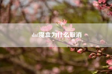 dnf魔盒为什么取消