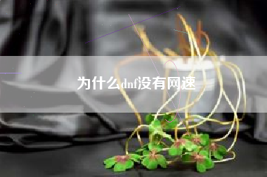 为什么dnf没有网速