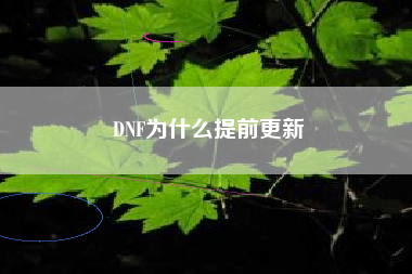 DNF为什么提前更新