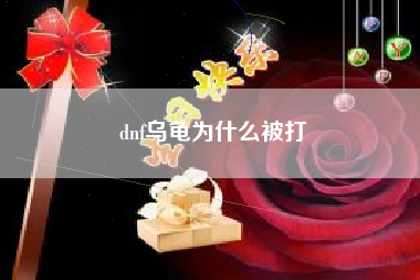 dnf乌龟为什么被打