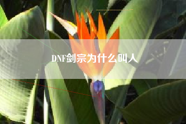 DNF剑宗为什么叫人