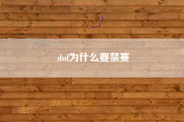 dnf为什么要禁赛