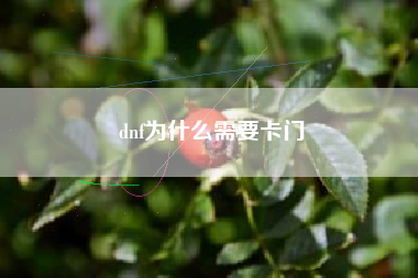 dnf为什么需要卡门