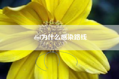 dnf为什么感染路线