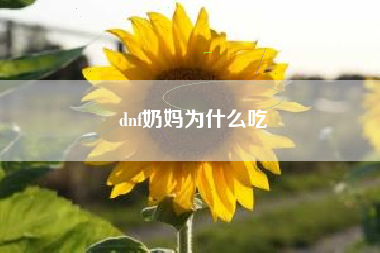 dnf奶妈为什么吃