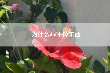 为什么dnf不掉东西