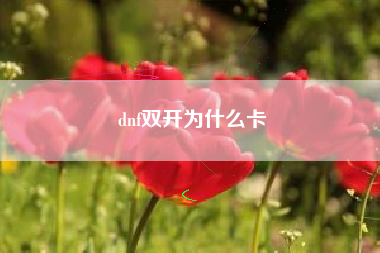 dnf双开为什么卡