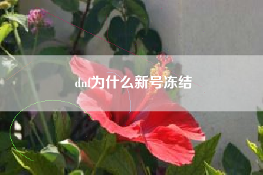 dnf为什么新号冻结