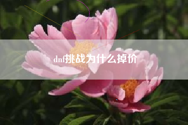 dnf挑战为什么掉价