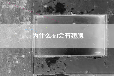 为什么dnf会有翅膀