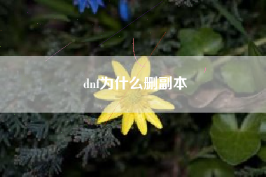 dnf为什么删副本