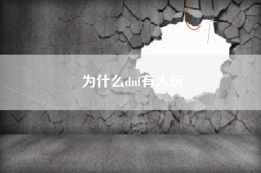 为什么dnf有人玩