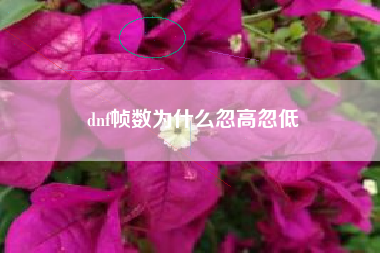 dnf帧数为什么忽高忽低