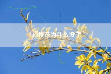 dnf桃花为什么没了