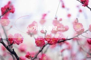 dnf为什么老是miss