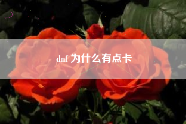 dnf 为什么有点卡