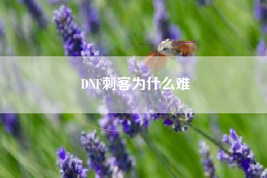 DNF刺客为什么难