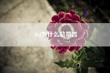 dnf为什么总禁言