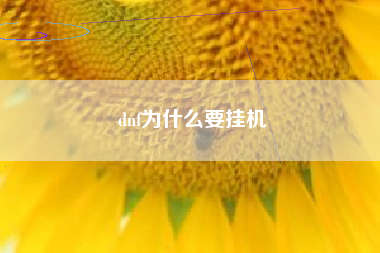 dnf为什么要挂机