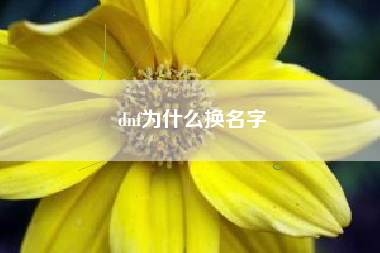 dnf为什么换名字