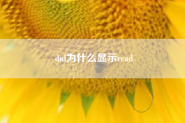 dnf为什么显示read