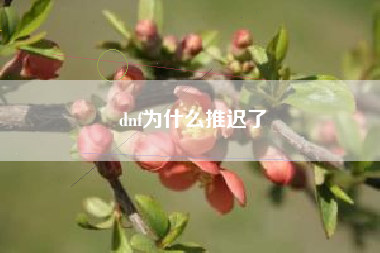 dnf为什么推迟了