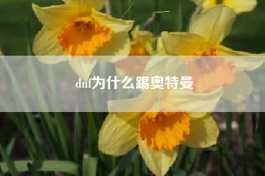 dnf为什么踢奥特曼