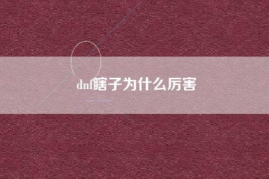 dnf瞎子为什么厉害