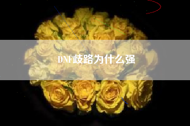 DNF歧路为什么强