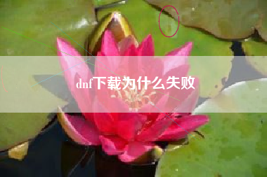 dnf下载为什么失败