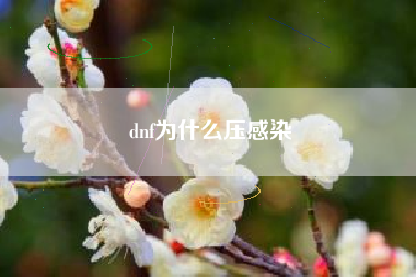 dnf为什么压感染