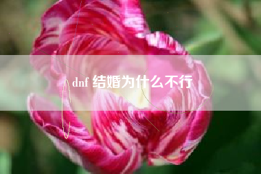 dnf 结婚为什么不行