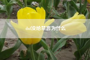 dnf没给禁言为什么