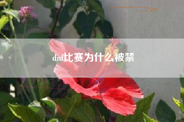 dnf比赛为什么被禁