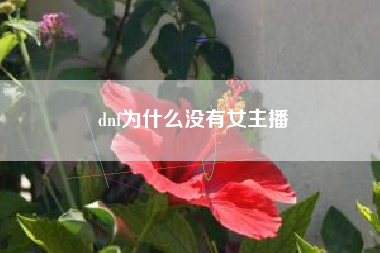 dnf为什么没有女主播