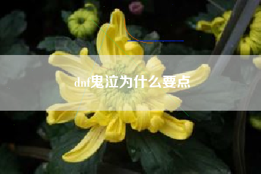 dnf鬼泣为什么要点