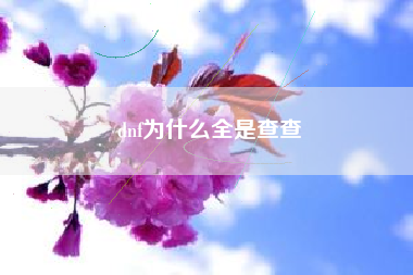 dnf为什么全是查查