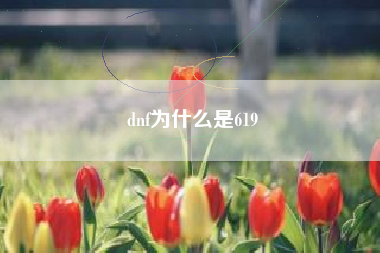 dnf为什么是619