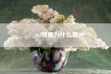 dnf犄角为什么贵