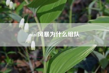 dnf风暴为什么组队