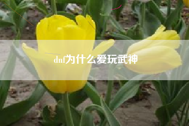 dnf为什么爱玩武神